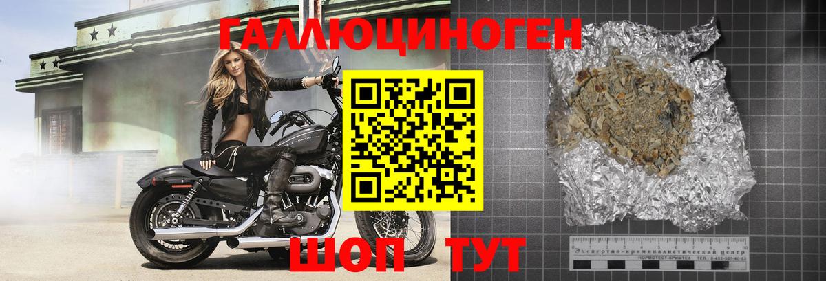 хочу наркоту  Псилоцибиновые грибы Magic Shrooms  Вход с VPN  Кунгур  Галлюциногенные грибы MAGIC MUSHROOMS 