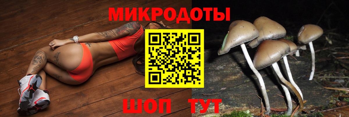 Галлюциногенные грибы мицелий Кунгур