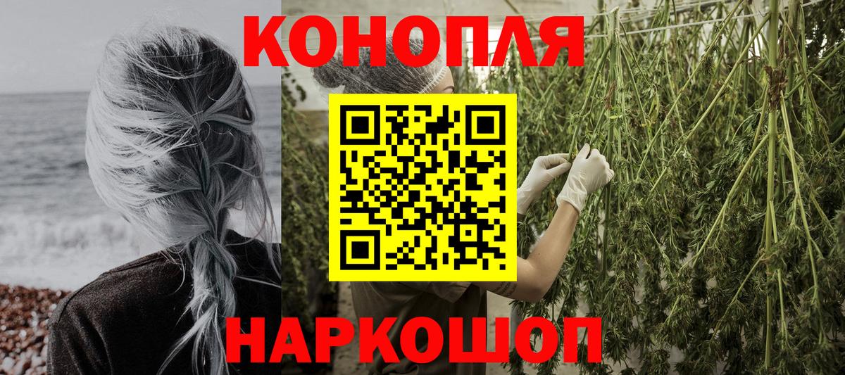 Кунгур  Бошки Шишки семена  Бошки Шишки Bruce Banner  Вход с VPN 